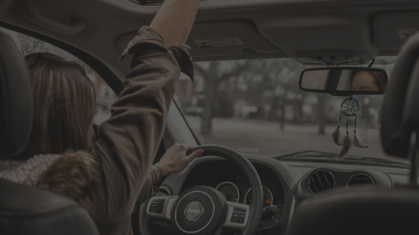 Transportation & Travel 